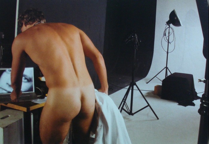 David Cardoso Jr - MaxeGatos - Foto 22