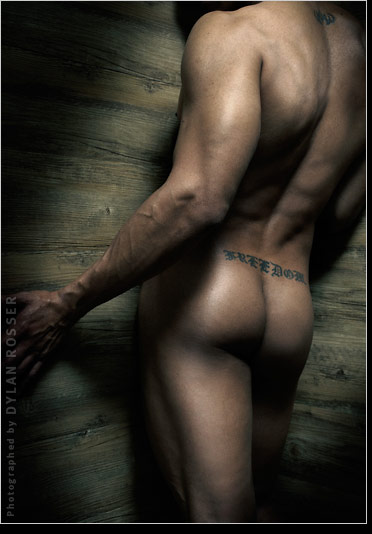 Ajay - Alex - MaxeGatos - Foto 14
