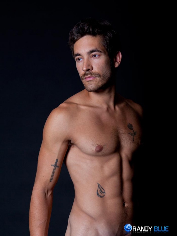 Dale Cooper - MaxeGatos - Foto 24