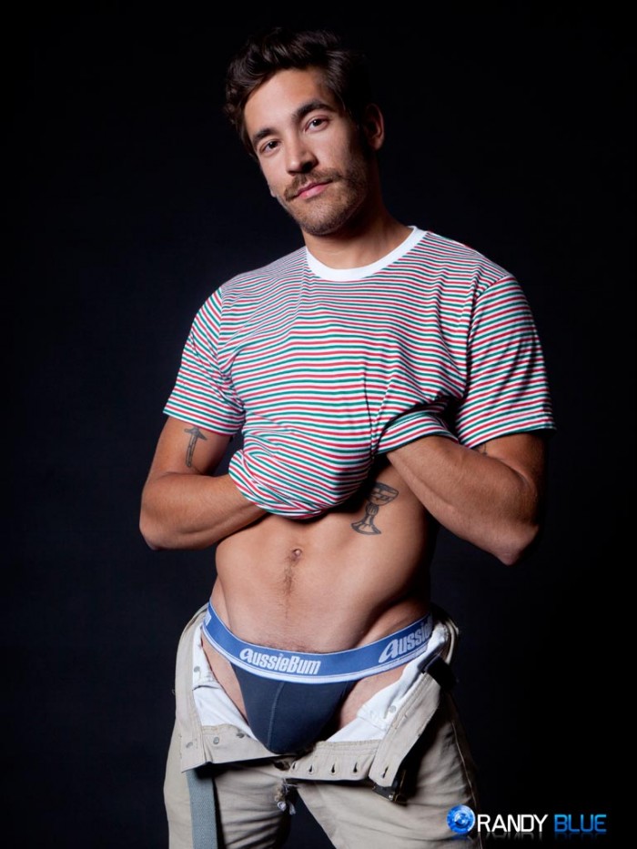 Dale Cooper - MaxeGatos - Foto 4