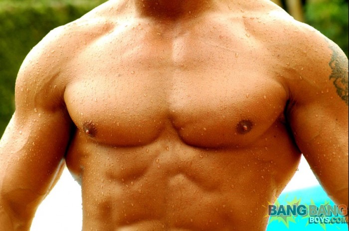 Fredy Navas - MaxeGatos - Foto 42