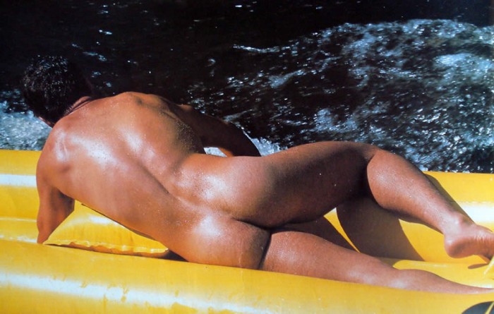 Julian Righeto - MaxeGatos - Foto 31