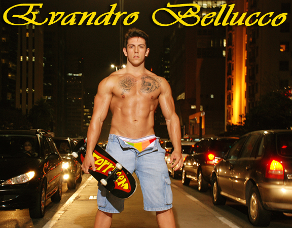 Evandro Bellucco - MaxeGatos - Foto 11