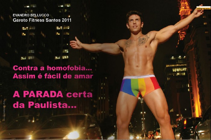 Evandro Bellucco - MaxeGatos - Foto 14