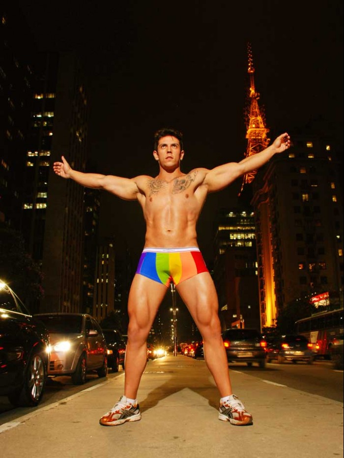 Evandro Bellucco - MaxeGatos - Foto 15