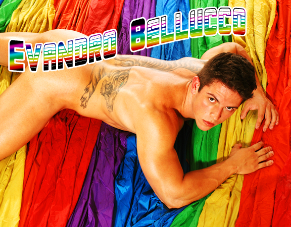 Evandro Bellucco - MaxeGatos - Foto 4