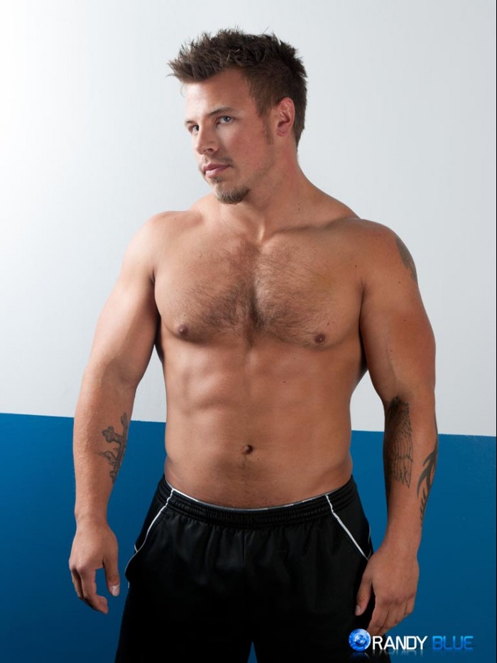 Dan Darlington - MaxeGatos - Foto 1