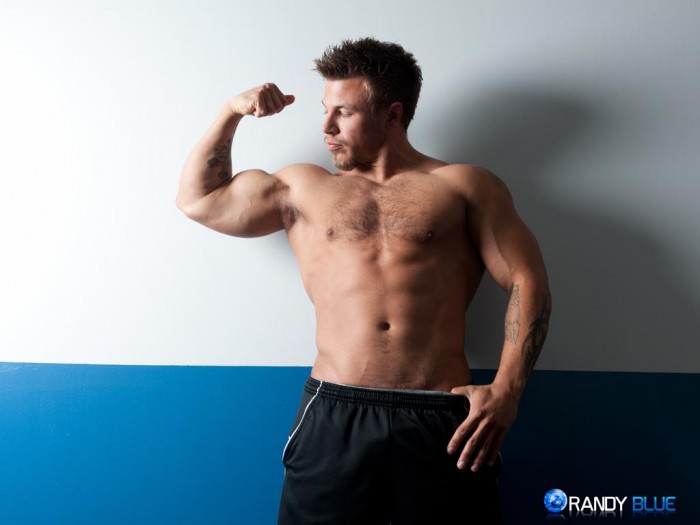 Dan Darlington - MaxeGatos - Foto 4