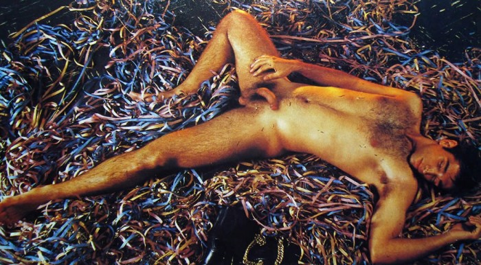 Márcio Aguiar - MaxeGatos - Foto 52
