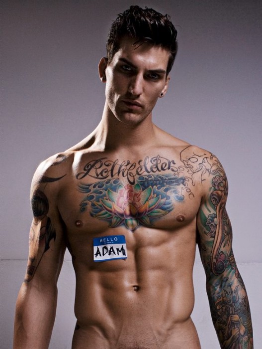 Adam Von Rothfelder - MaxeGatos - Foto 33