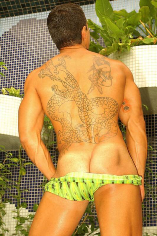 Benil Ribeiro - MaxeGatos - Foto 4