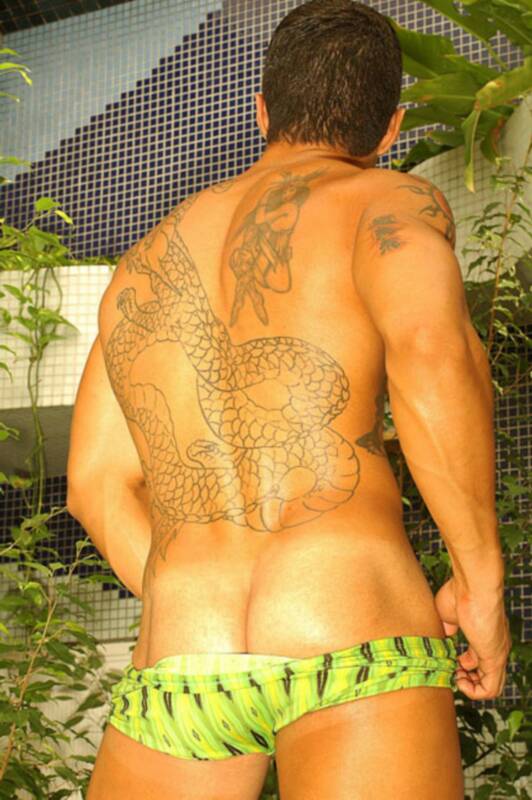 Benil Ribeiro - MaxeGatos - Foto 5