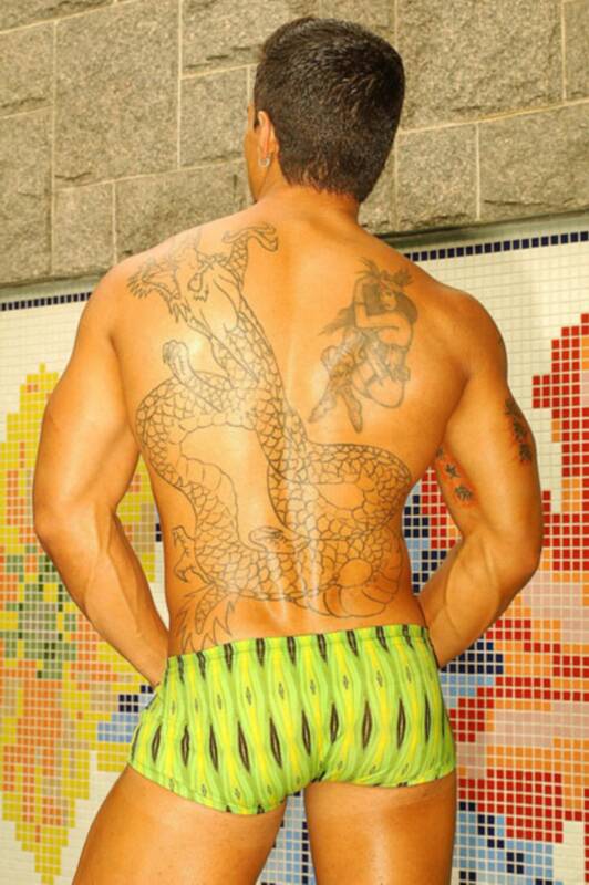 Benil Ribeiro - MaxeGatos - Foto 92