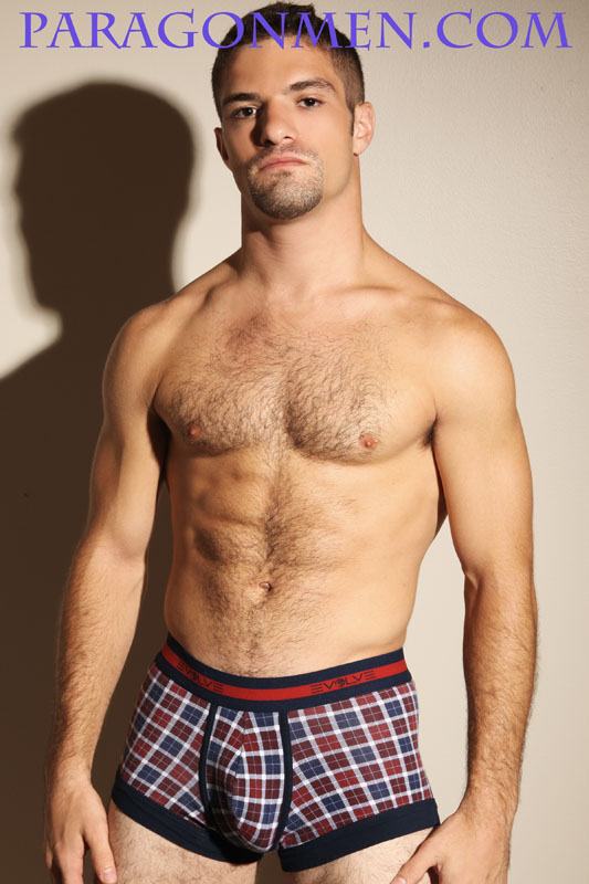 Adam Wirthmore - MaxeGatos - Foto 1