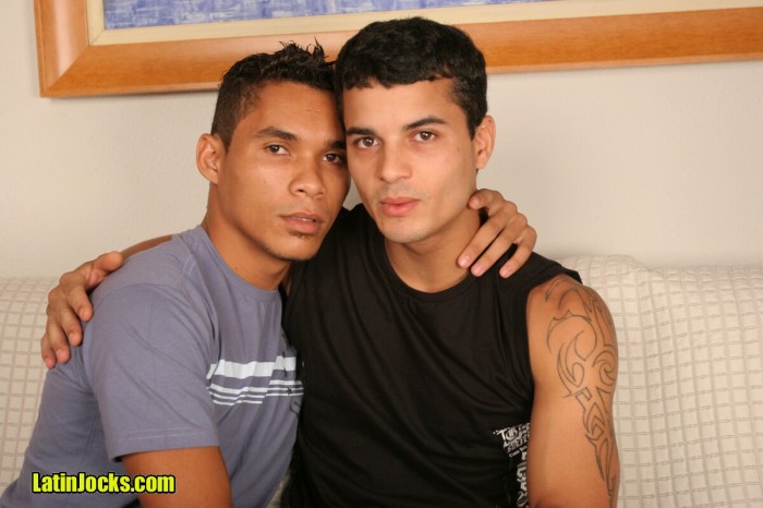 Alex & Vitor - MaxeGatos - Foto 1