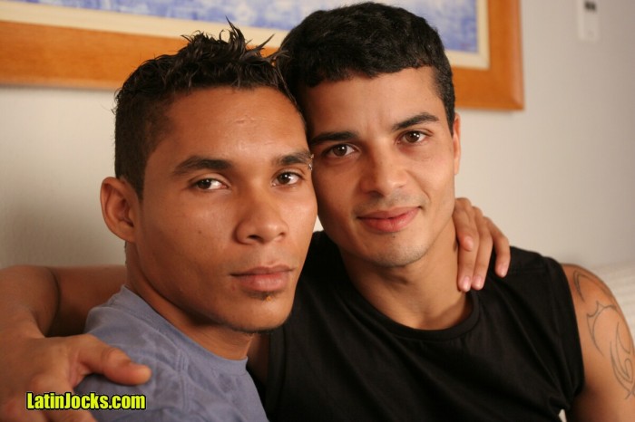 Alex & Vitor - MaxeGatos - Foto 2