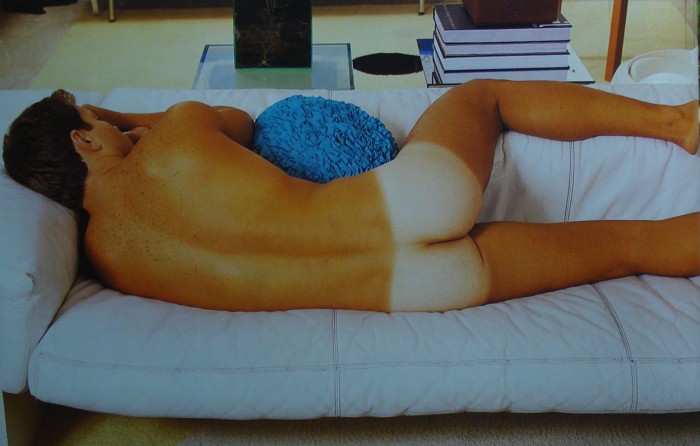André Rocha - MaxeGatos - Foto 26