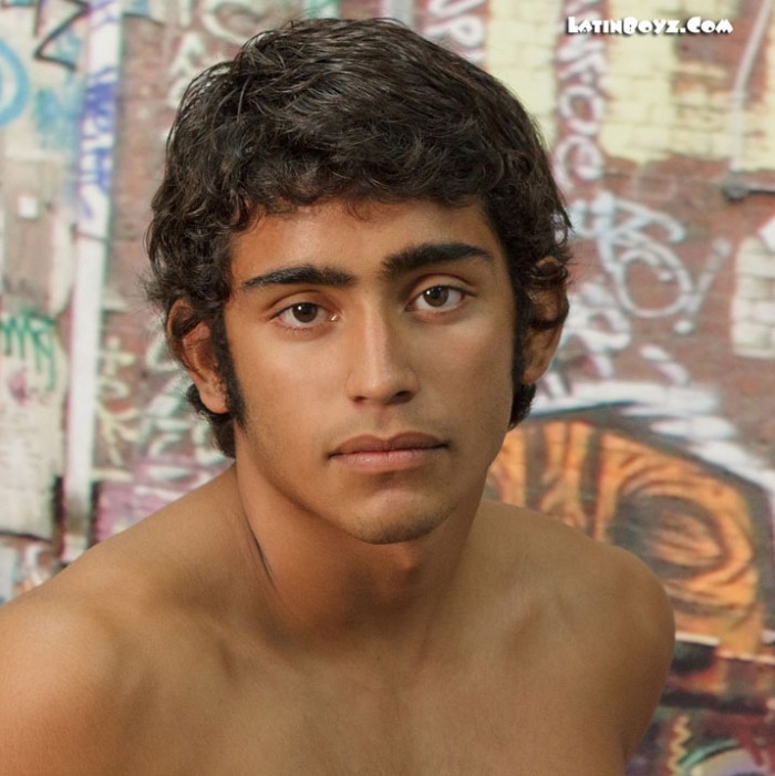 Alexis - MaxeGatos - Foto 13