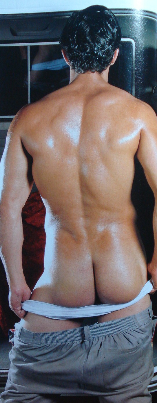 Fabiano Borges - MaxeGatos - Foto 31