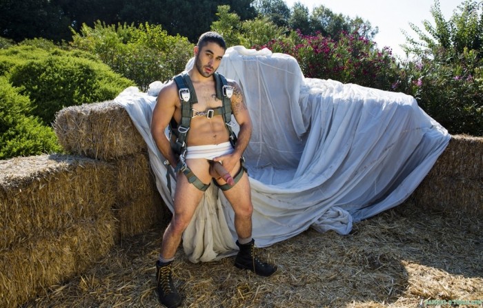Samuel OToole - MaxeGatos - Foto 28