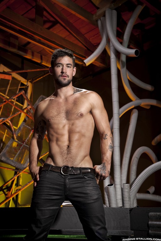 Benjamin Godfre - MaxeGatos - Foto 1