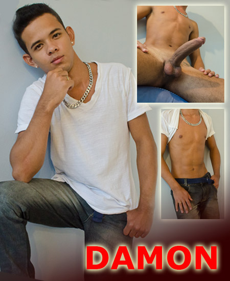 Damon - MaxeGatos - Foto 2