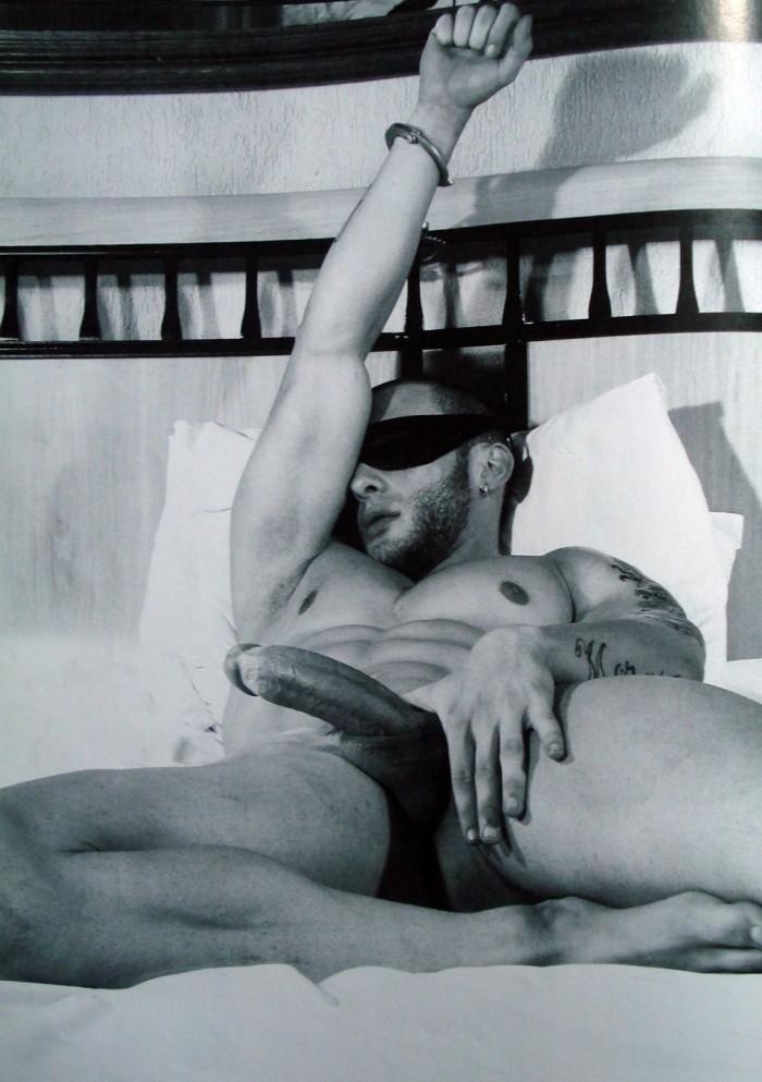 André Morais - MaxeGatos - Foto 25
