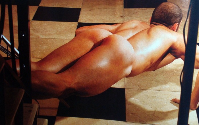 André Morais - MaxeGatos - Foto 28