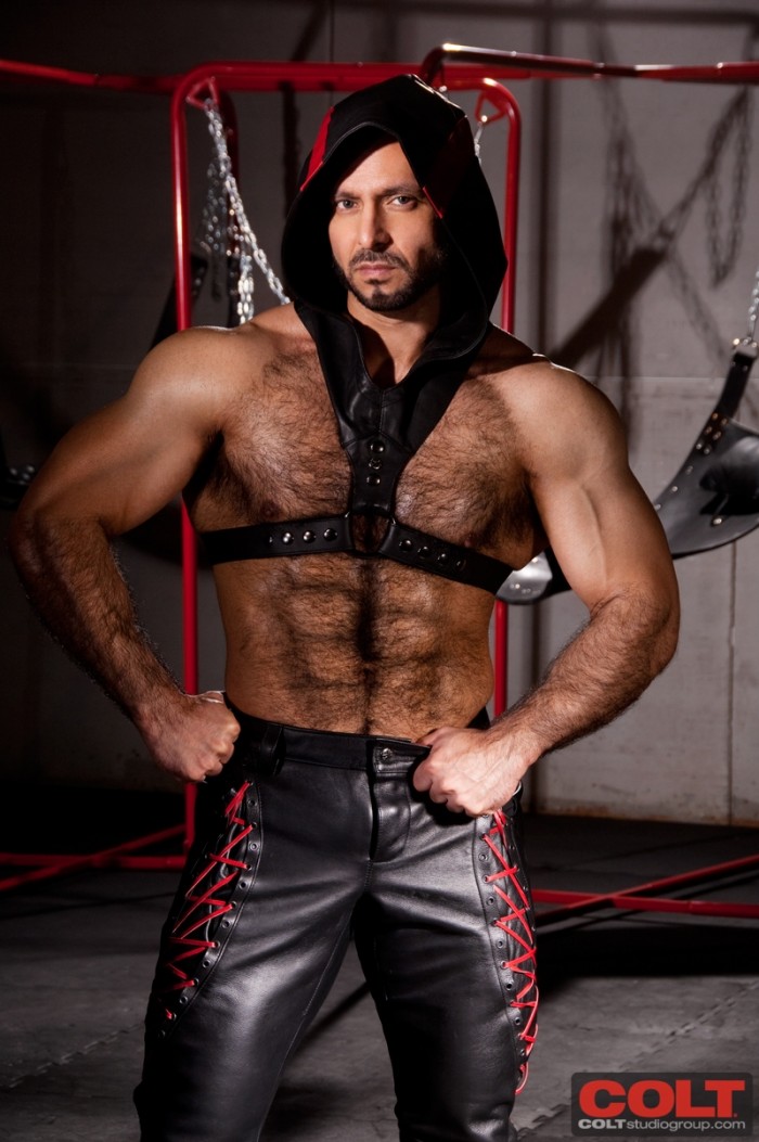 Adam Champ - MaxeGatos - Foto 2