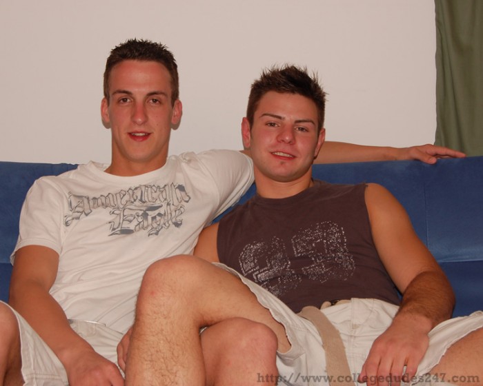 Jason and Sterling - MaxeGatos - Foto 6