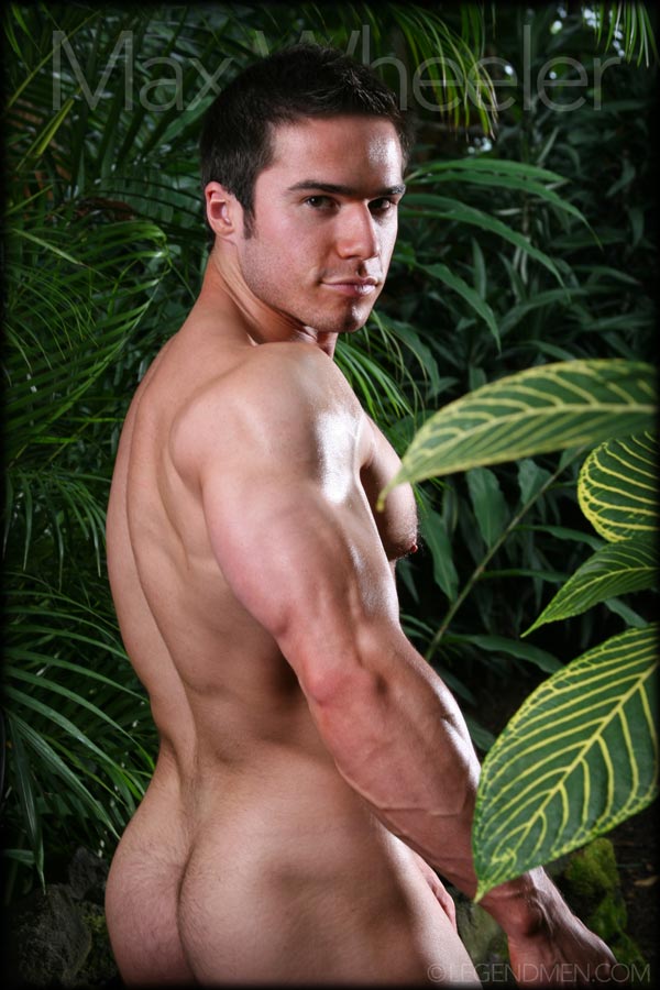 Max Wheeler - MaxeGatos - Foto 6