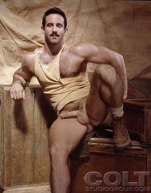 Steve Kelso - MaxeGatos - Foto 39