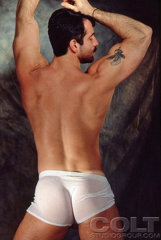Steve Kelso - MaxeGatos - Foto 46