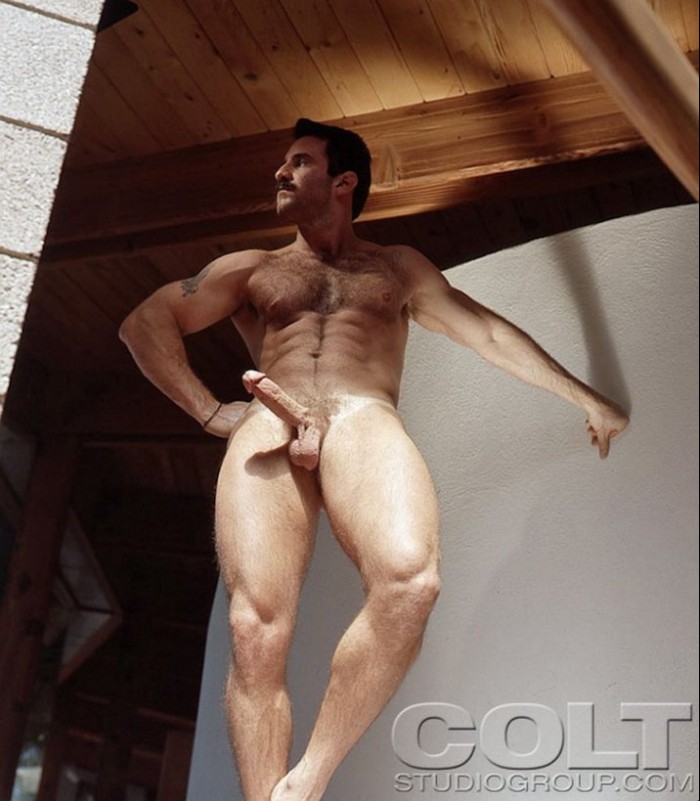 Steve Kelso - MaxeGatos - Foto 49