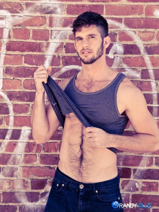 Jimmy Fanz - MaxeGatos - Foto 2