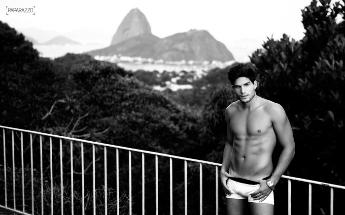André Martinelli - MaxeGatos - Foto 27