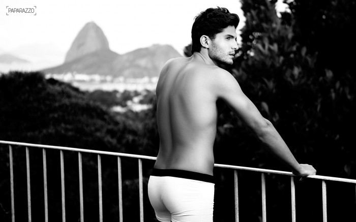 André Martinelli - MaxeGatos - Foto 31