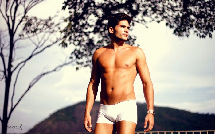 André Martinelli - MaxeGatos - Foto 41