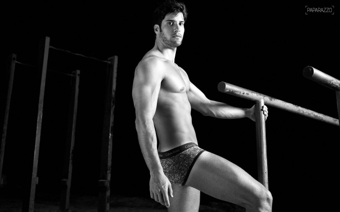 Marcello Soares - MaxeGatos - Foto 23