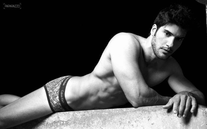 Marcello Soares - MaxeGatos - Foto 24