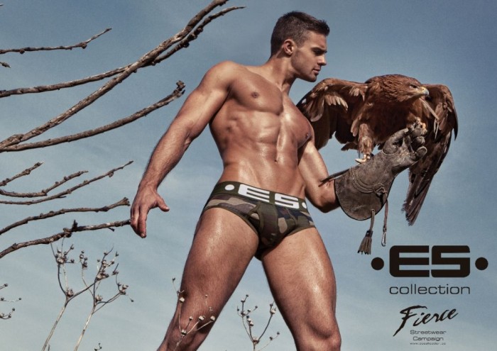 Kirill Dowidoff - MaxeGatos - Foto 1