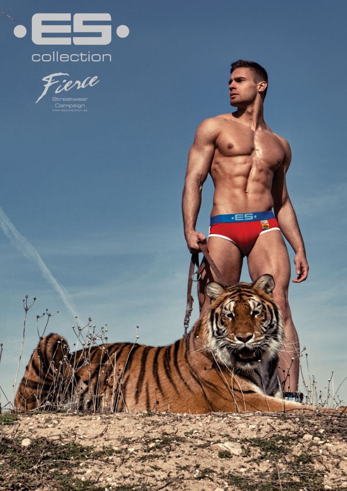Kirill Dowidoff - MaxeGatos - Foto 2