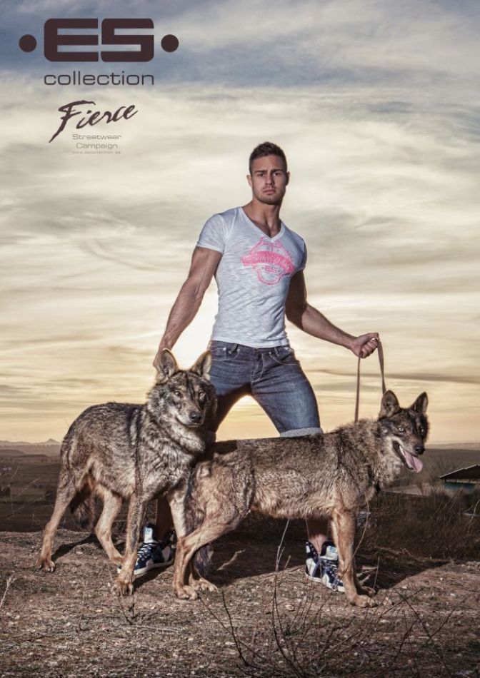 Kirill Dowidoff - MaxeGatos - Foto 4