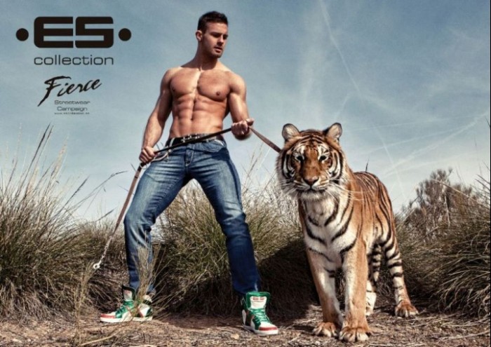 Kirill Dowidoff - MaxeGatos - Foto 6
