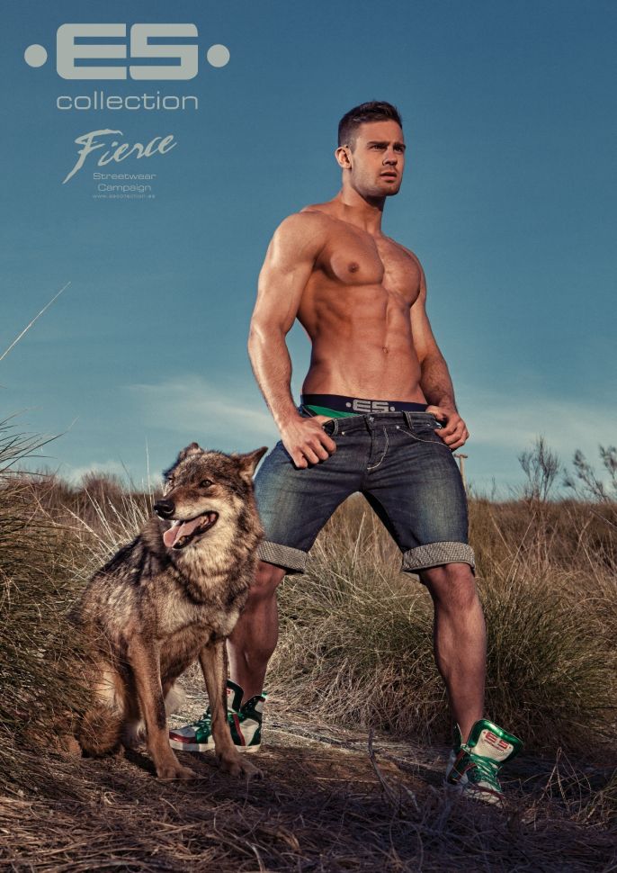 Kirill Dowidoff - MaxeGatos - Foto 7