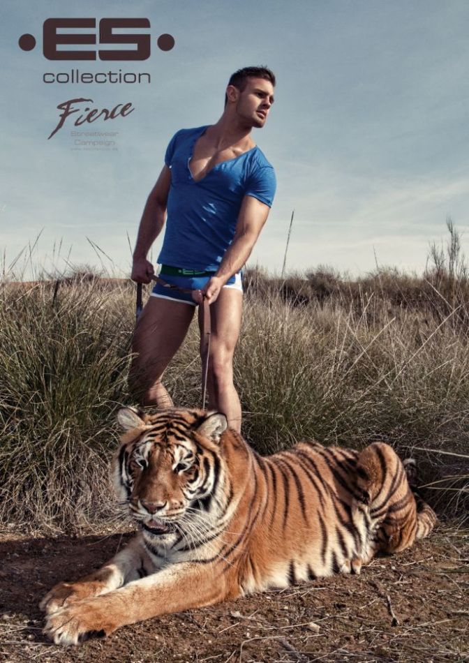 Kirill Dowidoff - MaxeGatos - Foto 8