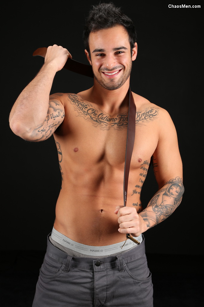 Xavier - MaxeGatos - Foto 12