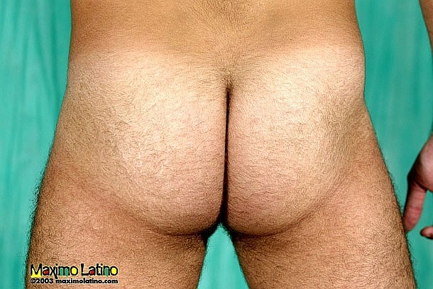 Paco - MaxeGatos - Foto 45