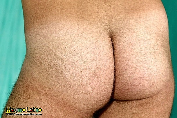Paco - MaxeGatos - Foto 47