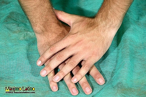 Paco - MaxeGatos - Foto 56